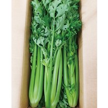 야채왕 샐러리 1단, 1개