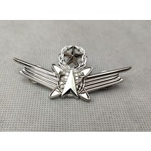 Armyshop2008 USAF 공군 배지 규제 운영 마스터 휘장 핀, 01 은