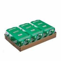 칠성 사이다 245ml x 24캔, 245ml x 24cans