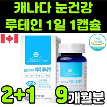 캐나다 뉴테인 루테린 LUTEIN 베타카로틴 아스타잔틴 비타민 A E 마리골드 꽃 헤마토코쿠스 빌베리 헤마토코쿠스 추출물 직장인 청소년 부모님 눈 안구 건강 노안 노화 영양제 추천, 3박스(9개월분)