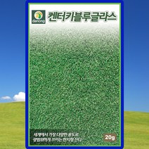 켄터키블루그라스 잔디씨앗 잔디씨 종자 20kg, 단품