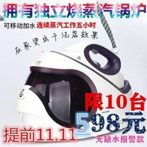업소용스팀다리미 산업용 세탁소 의류 독일 전문 보일러식 찜질기 전기 다리미 커튼 클리닝