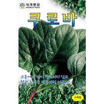 쿠로바 시금치 씨앗 여름 종자 채소 씨 spinach 30g