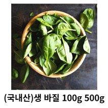 바질 100g 500g 국내산 산지직송 바질잎 허브 바질페스토 향긋한 향신료 스위트바질 생바질 풍미 소스 파스타 바질, 1box
