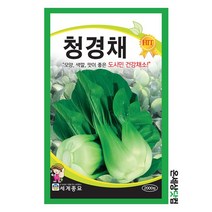 청경채 2000립 / 채소씨앗 쌈채소씨앗 텃밭씨앗 청경채씨앗