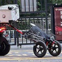 바이크 트레일러 수레 카트 마트 장바구니 짐 싣기 화물 장거리 여행 낚시 식료품 후면, L8(시트튜브연결)보온백이없는경량PU휠