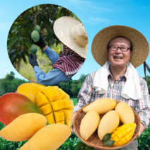 먹사부 항공수입 골드 망고 애플망고 무지개 망고 선물세트 태국산 페루 열대과일, 선물용, 4번. 골드망고(4과)+애플망고(5과) 선물세트