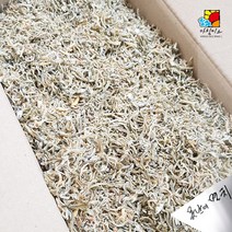못난이 혼지리멸치 1.5kg 식당용, 1