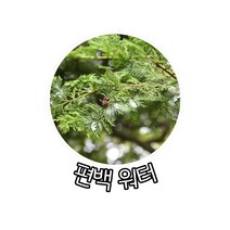 [백향기] 편백워터 플로럴워터 화장품재료 DIY화장품만들기 미스트 화장수, 300ml