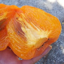 광양 햇 대봉감 찰대봉 (10/31부터 순차출고예정), 대10kg(34과내외)