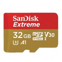샌디스크 디엠텍 아이칸 i10S 호환 메모리카드32GB Extreme, 32GB