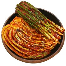 나의디미방 맛있게 매운 김치셋트 매운실비김치 + 매운 실비파김치, 김치 800g + 파김치 500g  3단계:더더 매운맛