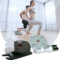 핏테라 붕어 365 홈트 허리 복근 유산소 전신 근력 코어 운동기구, 민트