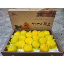 제주 황금향 3kg 중대과 5-13과 선물용 신비향 수라향 설국향 불로초 하우스 노지