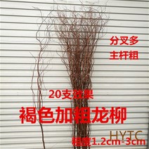 노르딕 나무가지 행거 헹거 옷가게 옷걸이 카페 용버들 가지 가지갈색 갈색, 01 마른 나뭇가지, 01 0.6 미갈색 용류 30수