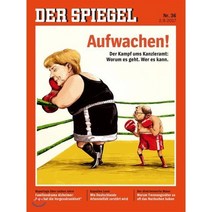 Der Spiegel (주간) : 2017년 09월 02일