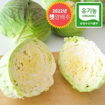 [양배추3입] 건우농장 꼬깔양배추3kg
