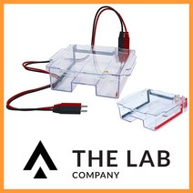 제이오텍/전기영동장치/EP-10/Horizontal Electrophoresis System/JEIOTECH