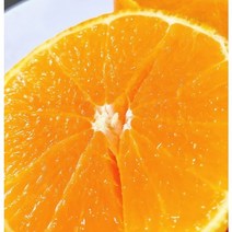 오렌지 고당도 퓨어스펙 오렌지 1.5kg 명품 오렌지 100% 시원달콤 샐러드 비타민 오렌지 고품질 고당도 썬키스트 오렌지