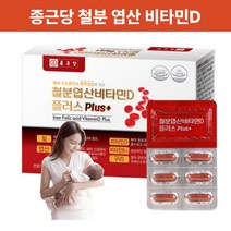 임산부 청소년 종근당 철분제 중학생 수유부 여자 철분 철분엽산 비타민D 엽산 임신준비 영양제 60캡슐 2개월분