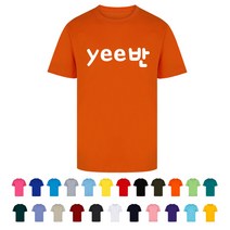 TCS-155 학교 학급 단체 반티셔츠 (인쇄변경가능)