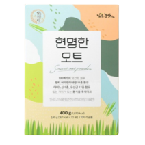 남도농산 현명한 오트 귀리선식 파우치형 40gx10포 1박스, 1개