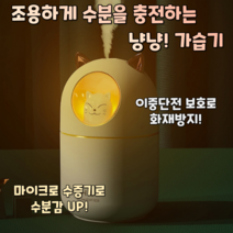 청소쉬운 세척편한 캠핑용 불멍 가습기, 화이트
