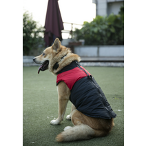 켈리몰 강아지패딩/대형견옷/겨울옷/패딩조끼/중형견옷/진돗개옷/중형견패딩/진돗개패딩/큰개옷/개패딩, 그린_4XL