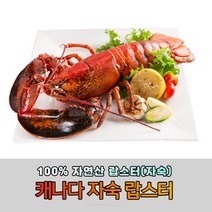 자연산 자숙 랍스터 캐나다 급랭 바닷가재 냉동랍스터 2마리