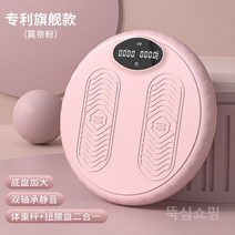 트위스트 허리디스크 피트니스 홈 턴테이블 허리 운동, D