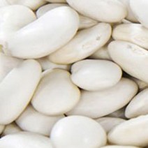 흰 강남콩 채소 씨앗 곡물 껍질 품종 종자 씨 30g _ 2023895EA, 쿠팡 본상품선택