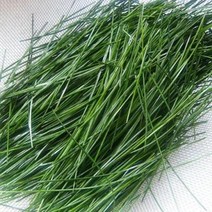 금강송(적송) 솔잎 200g - 주문 채취 발송, 1개