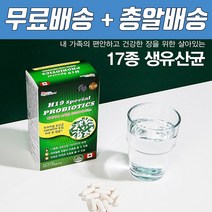 람노스유산균 피부보호유산균 포스트바이오스틱스 yt1 hy7714 초등유산균 100억프로바이오틱스 피부면역유산균 돌아기유산균 질건강유산균 신생아유산균 4세대유산균 구강유산균, 프로바이오틱스 1개