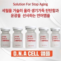 연어원료 함유 주다코 연어 DNA 앰플 mts앰플 [1Box 5ml x10개입] + MTS 롤러 증정-@달링태그