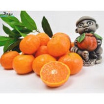 조은돌담 당도폭발 제주 카라향 1.5kg/2.5kg/4.5kg, 4.5kg, 소과