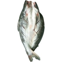 반제품 버들치 도매용 풀박스 통마리 무접점 등을 돌리는 물고기 대발 전선형, 1개, T17-1g 능성어 메콩고기-10 조목조목