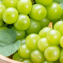 도봉물산_[국내산] 영화청과 특급 국내산 샤인머스켓 1kg 보관 김천, 1, 본상품선택