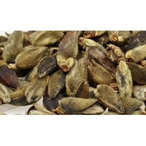 신이화 목련꽃봉우리 국내산 건조목련꽃 100g, 신이화100g