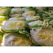 오늘애푸드 김장시즌 국내산 강원도 / 해남 절임배추20kg, 12월1일(금)도착