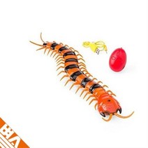 반디 곤충 모형 지네 RC 무선 조종 장난감 색상랜덤