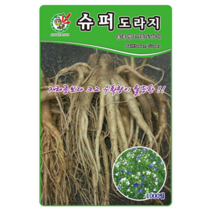 슈퍼도라지 씨앗 종자 1000립, 1개