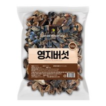 엄마애손 영지버섯 절단 500g, 단품, 단품