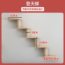 고양이 놀이터 호텔 원목 원룸 공간박스 구름다리 투명 캣휠 캣타워 벽선반 공간절약 diy 캣폴, 계단