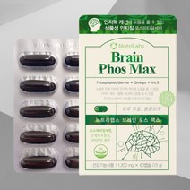 기억력영양제 은행잎영양제 은행잎추출물 인지력 항산화영양제 건강 식품