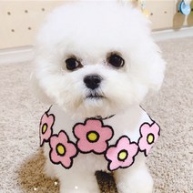 알알 강아지 고양이 편안한 케이프 M + 옷걸이, 벚꽃, 1개