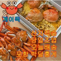 당일조업 산지직송 게이득 박달홍게 3kg (10-12미) 수율80%이상 최상품