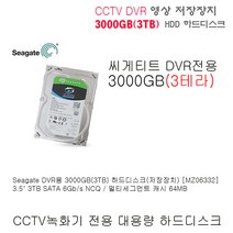 cctv 녹화기 전용 3000GB(3TB) 하드디스크외 추가상품, DVR용 3000GB(3TB) HDD