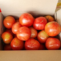 (용이다팜) 찰토마토 안전포장배송, 5kg (5번과)