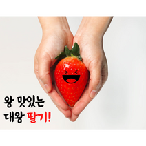 팜투패밀리 왕 맛있는 충남 논산 킹스베리 대왕 딸기 350g 700g 1KG, 킹스베리 700g 12~16개입 개당 45g