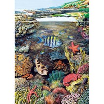 십장생도 동물병풍 생기그림 직소 퍼즐 대형, 조간대 (500mm × 700mm)